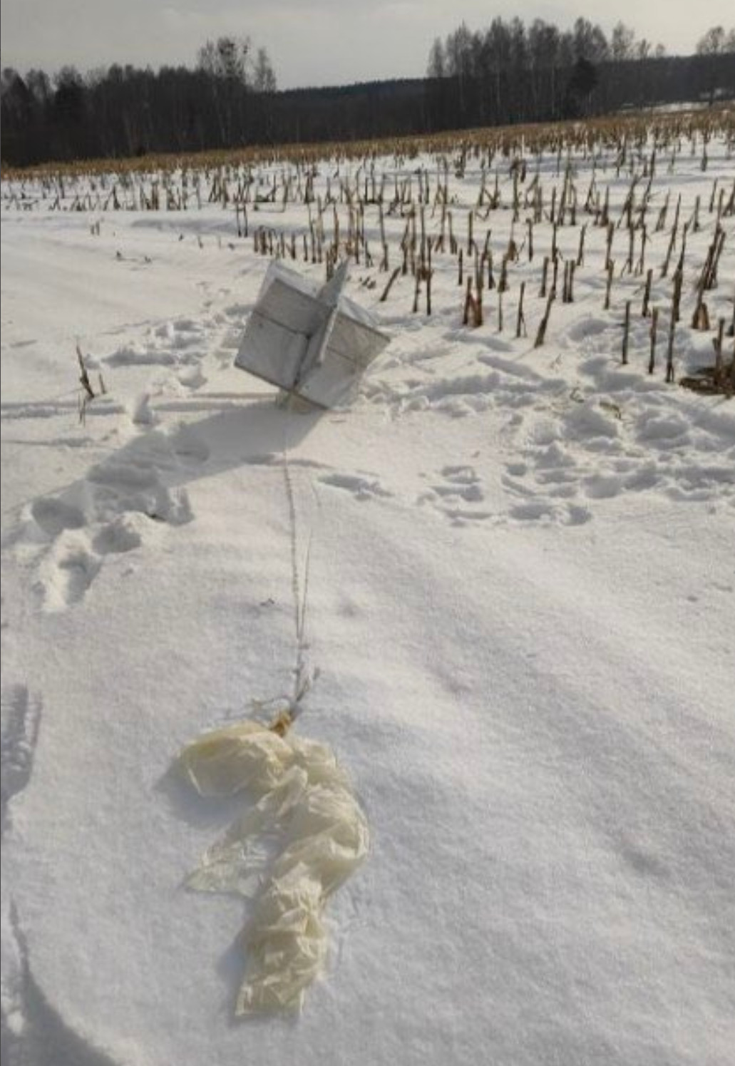 https://www.forgeat.org/wp-content/uploads/2023/02/ballon-russe.jpg